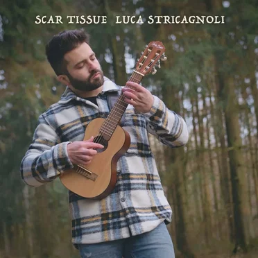 Scar Tissue by Luca Stricagnoli - album cover