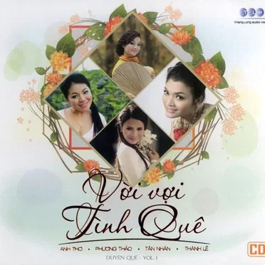 Vời vợi tình quê by Various Artists - album cover