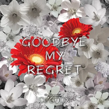 GOODBYE MY REGRET
