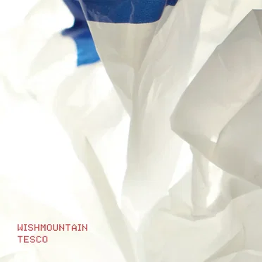Tesco by Wishmountain - album cover