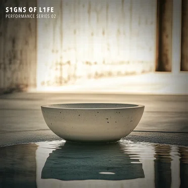 Performance Series 02 by S1gns of L1fe - album cover