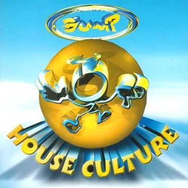 Bump - House Culture by Various Artists - album cover
