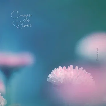 Campos de reposo