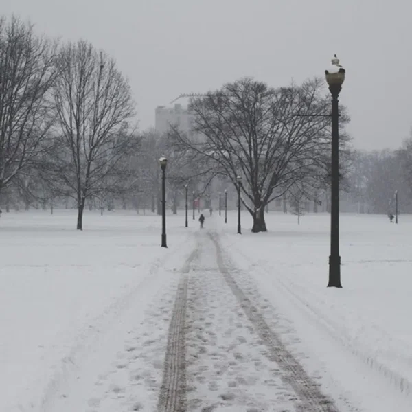 Snow Storm