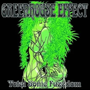 Total Sonic Fuzzdom