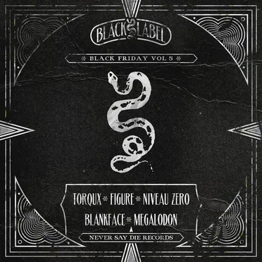 Black Friday, Vol. 5 by Various Artists - album cover