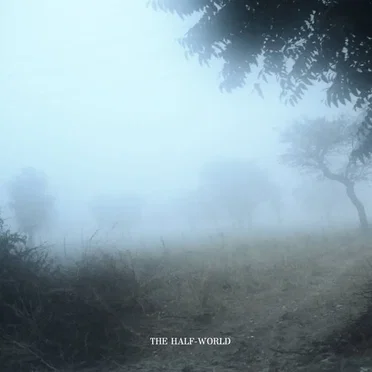 The Half-World by The Best Pessimist - album cover
