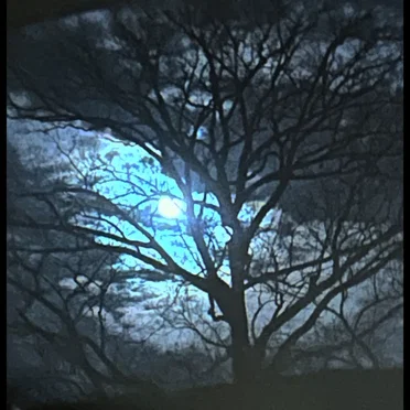 Moonsong/Rorsharch