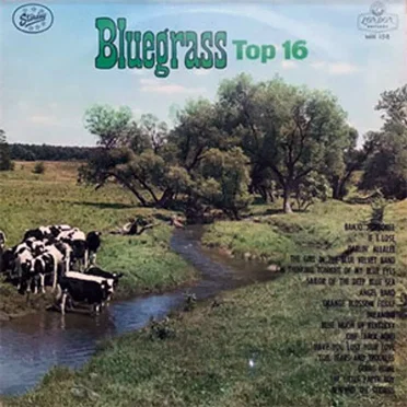 Bluegrass Top 16 by Various Artists - album cover