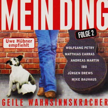 Mein Ding, Folge 2: 40 geile Wahnsinnskracher by Various Artists - album cover