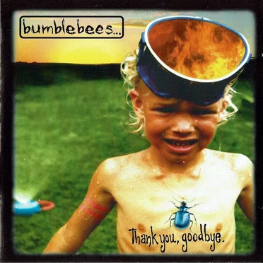 Thank you, goodbye