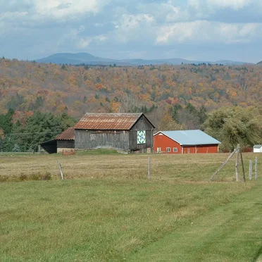 Harvest Hill