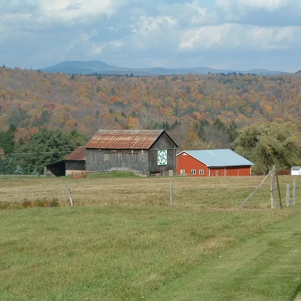 Harvest Hill