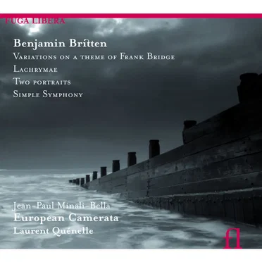 Variations On A Theme Of Frank Bridge / Lachrymae / Two Portraits / Simple Symphony