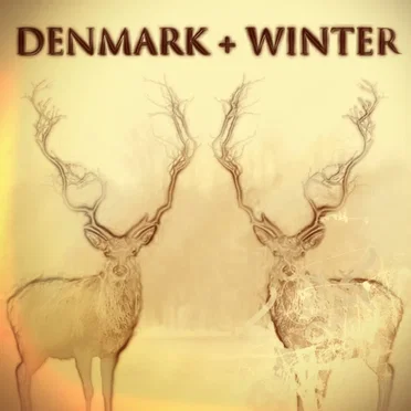 The Ghost in You by Denmark + Winter - album cover