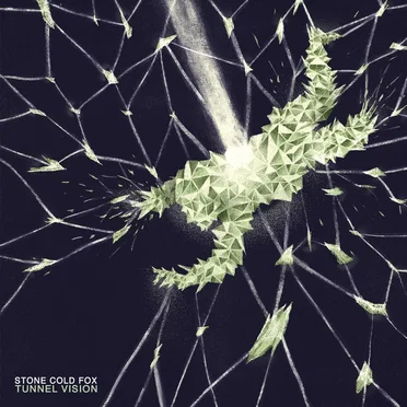 Tunnel Vision by STONE COLD FOX - album cover