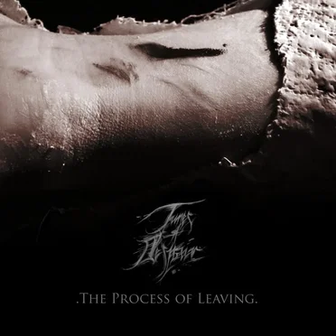 The Process of Leaving by Tunes of Despair - album cover