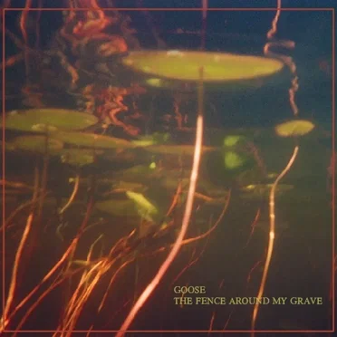 The Fence Around My Grave by Goose - album cover