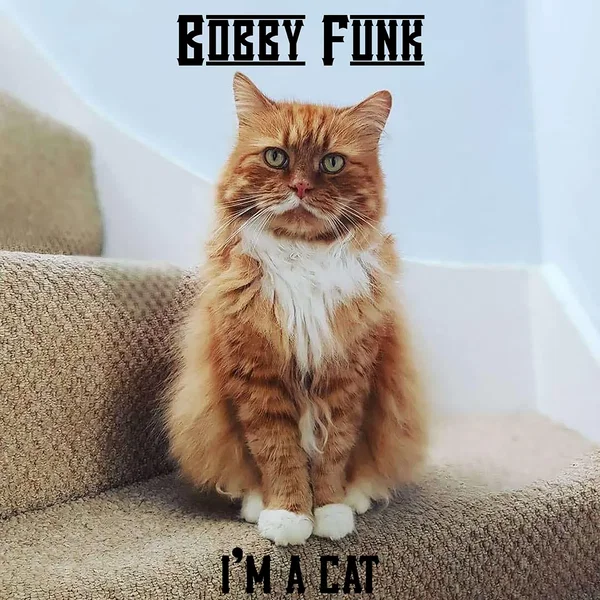 I'm a Cat