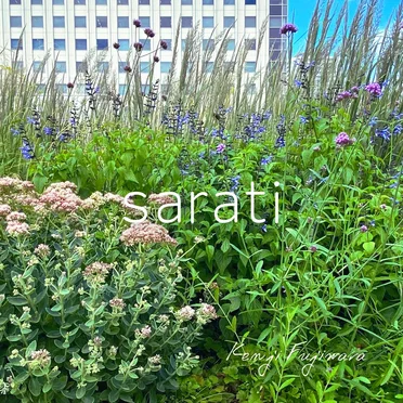 sarati by Kenji Fujiwara - album cover