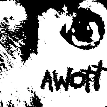 Awott Tapes by Asian Women on the Telephone - album cover