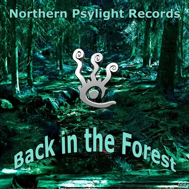Back in the Forest by Various Artists - album cover