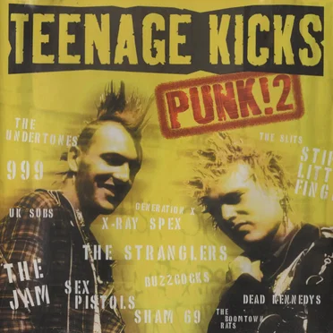Teenage Kicks: Punk! 2 by Various Artists - album cover
