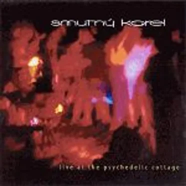 Live at the Psychedelic Cottage