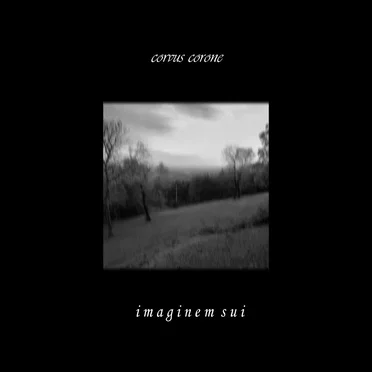 Imaginem Sui