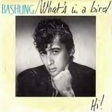 What’s in a Bird / Hi!