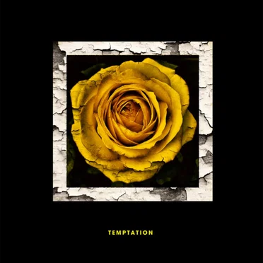 Temptation (Cinnamon Chasers Remix) by All Hail The Silence - album cover