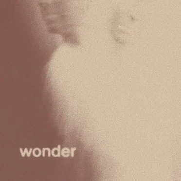 Wonder