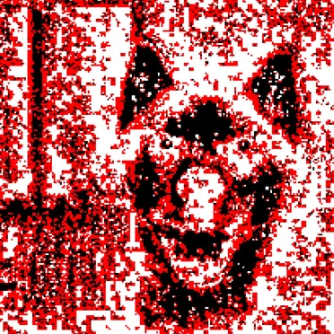 smile dog