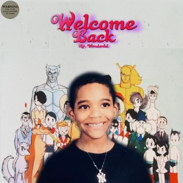 Welcome Back Mr.Wonderful