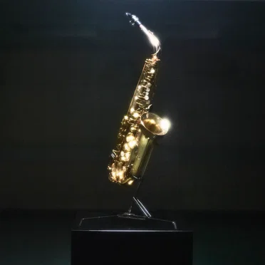 Throw My Head Out The Window