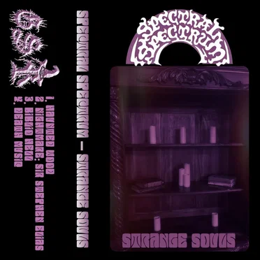 Strange Souls Vol 1 by Spectral Spectrum - album cover