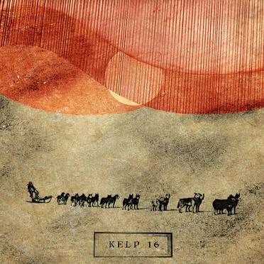 Kelp 16 by Various Artists - album cover