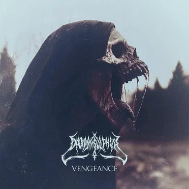Vengeance by Drown in Sulphur - album cover