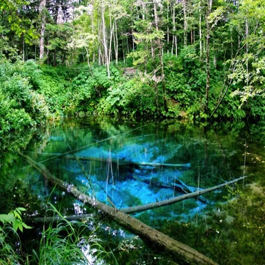 水