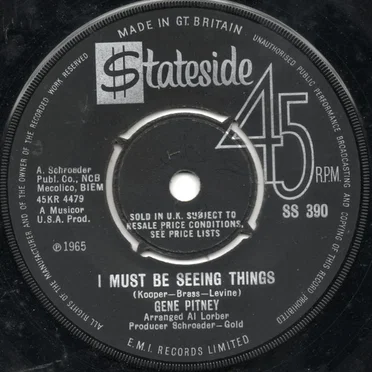 I Must Be Seeing Things