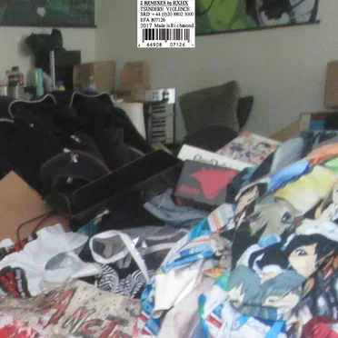 2 REMIXES by RXHX by Recovering Hikikomori - album cover