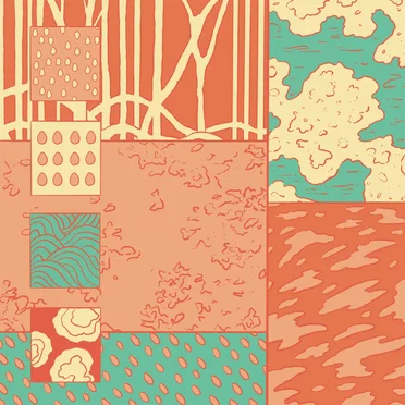 After The Rain, Strange Seeds by The Leaf Library - album cover
