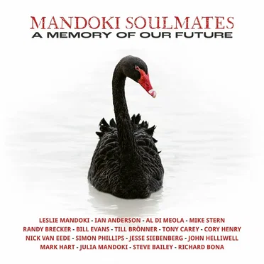 The Big Quit by Man Doki Soulmates - album cover