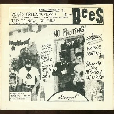 Voices Green and Purple / Trip to New Orleans by The Bees - album cover