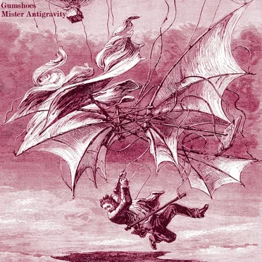 Mister Antigravity by Gumshoes - album cover