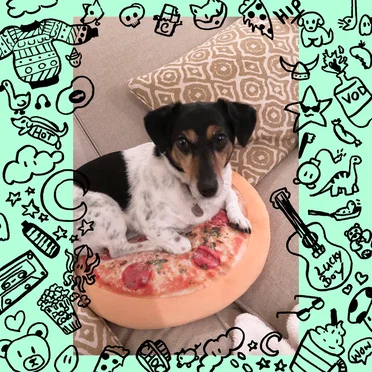 All Dogs Are Good Dogs - Single