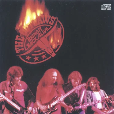 Bring It Back Alive by Outlaws - album cover