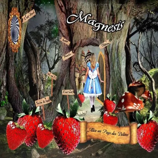 Alice Au Pays Des Délires