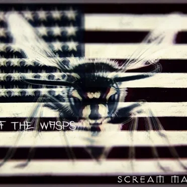 Rise of the Wasps