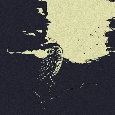 Take the Flight When the Shades of Night Are Gathering by IATU - album cover
